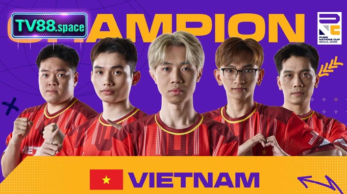 Giải Đấu Trong Nước